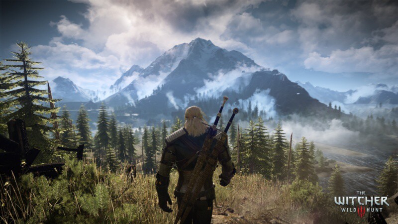 the witcher 3 wild hunt 2