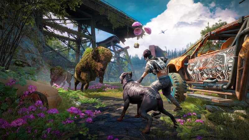 Far Cry: New Dawn 2